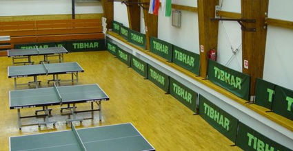 Table tennis sport club Dvorana Krim-Namizni tenis